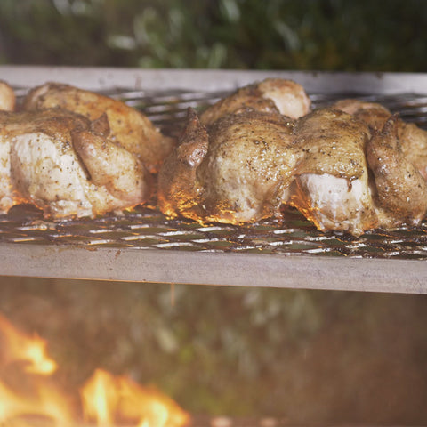 Spatchcocked chicken sizzling on a grill over an open flame, showing the chicken being roasted with a golden-brown sear and surrounded by vibrant green foliage.
